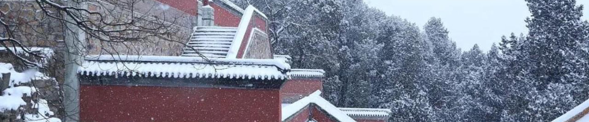 球盟会联系方式